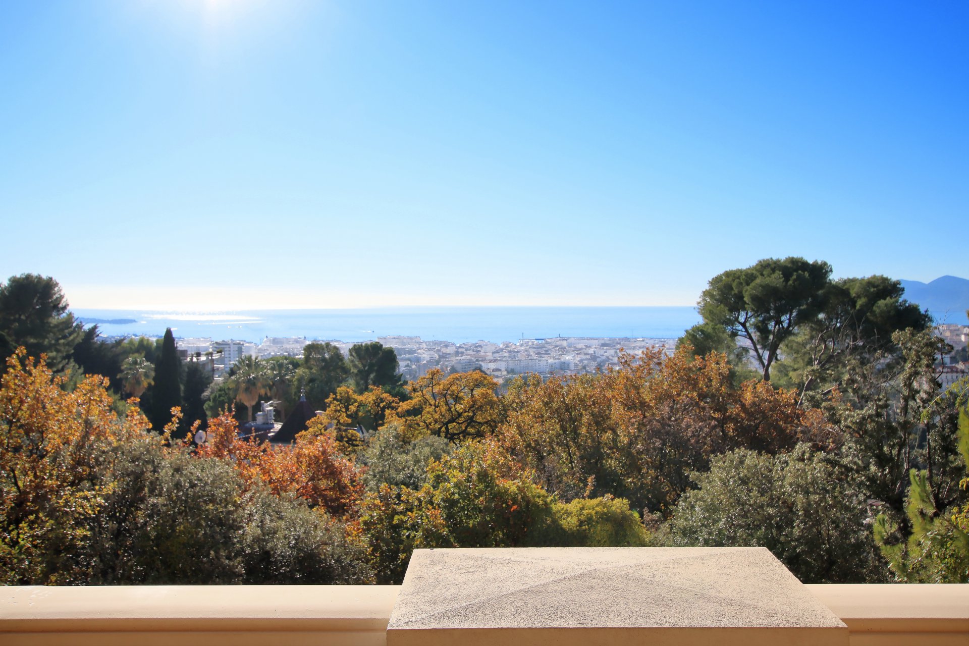 Overig - Cannes -  