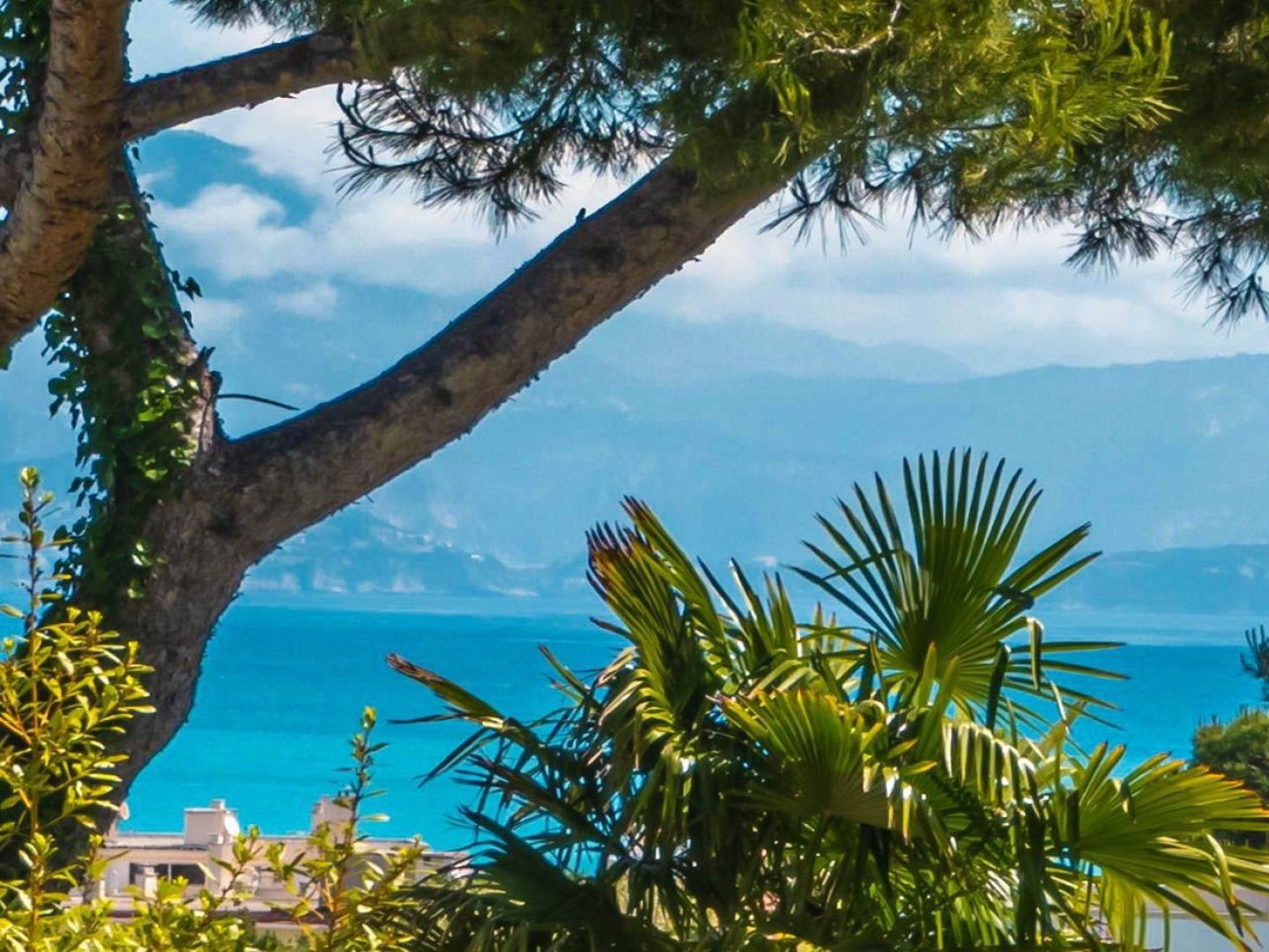 Overig - Cap d'Antibes -  