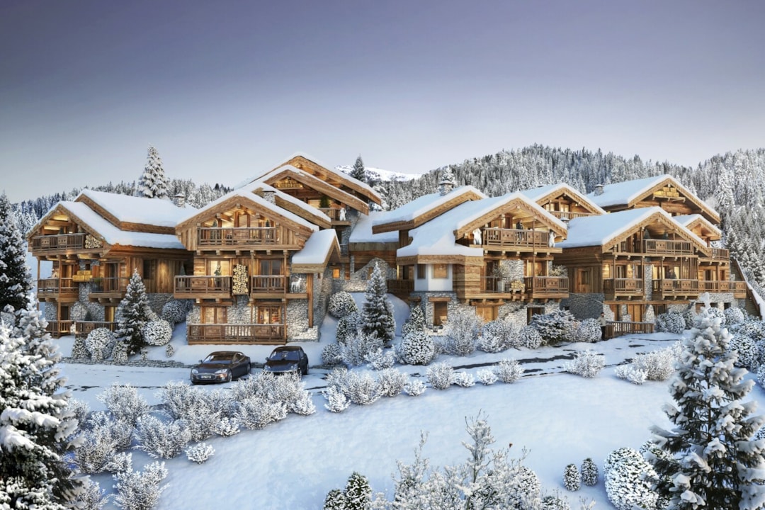 Image of HIGH END CHALET WITH MONT BLANC VIEW