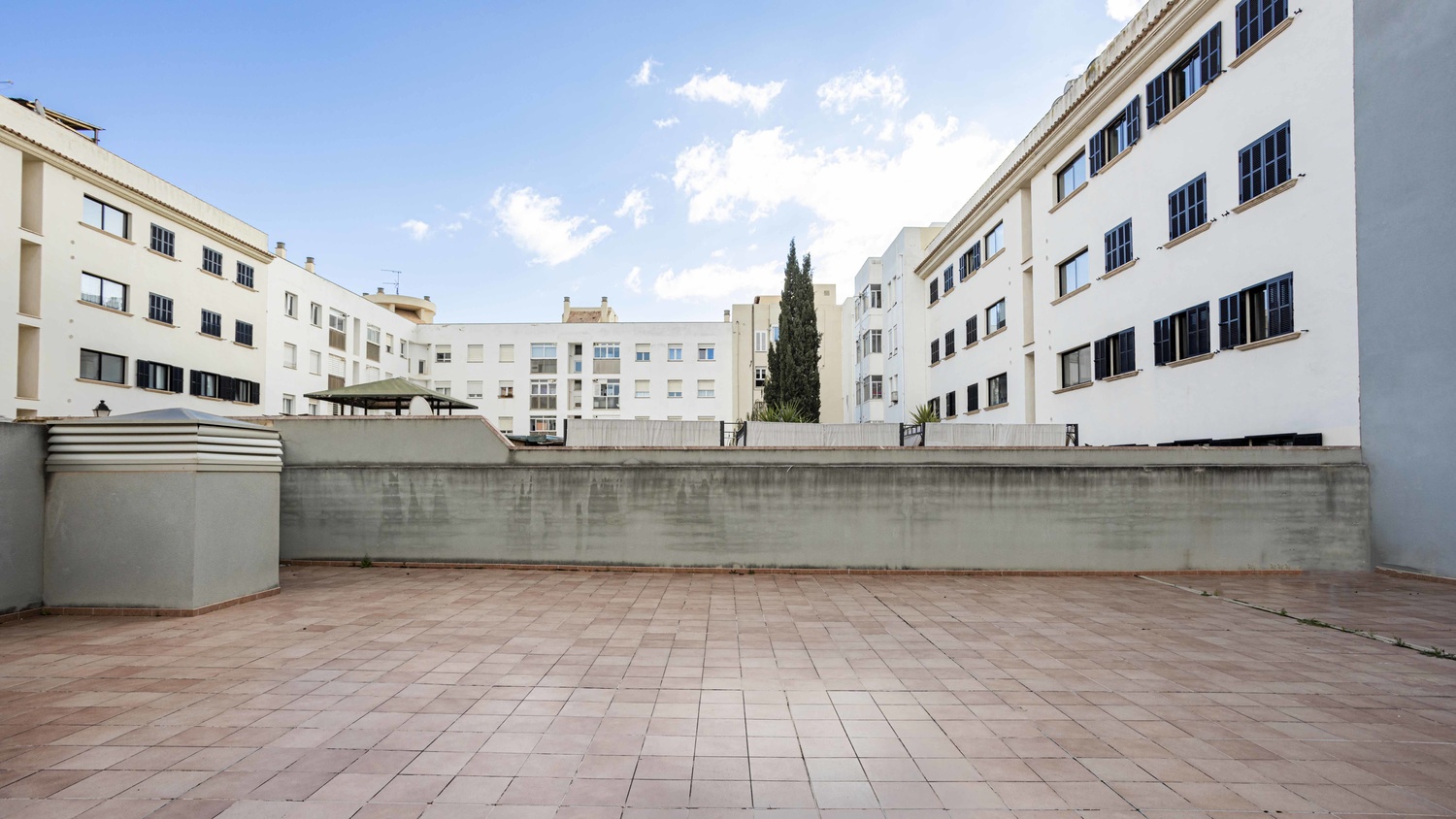Overig - Palma -  