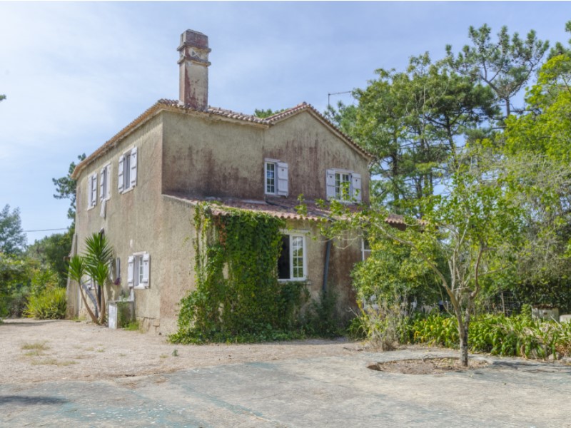 Overig - Sintra -  