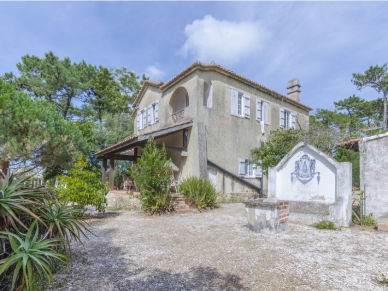Overig - Sintra -  