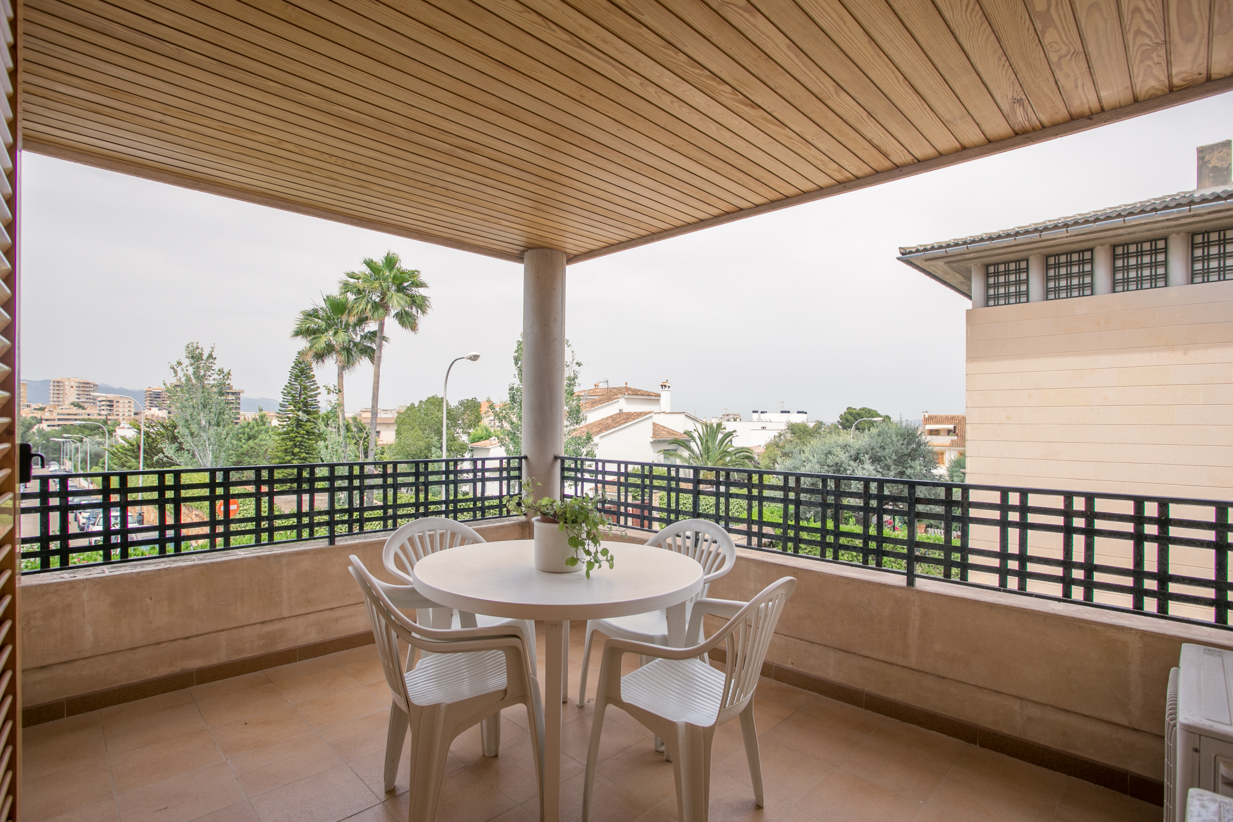 Overig - Palma -  