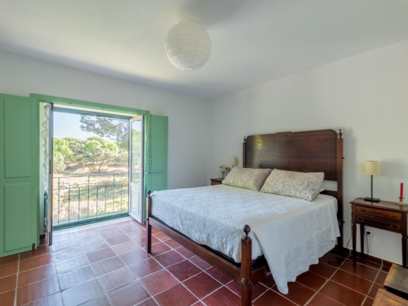 Overig - Benavente -  