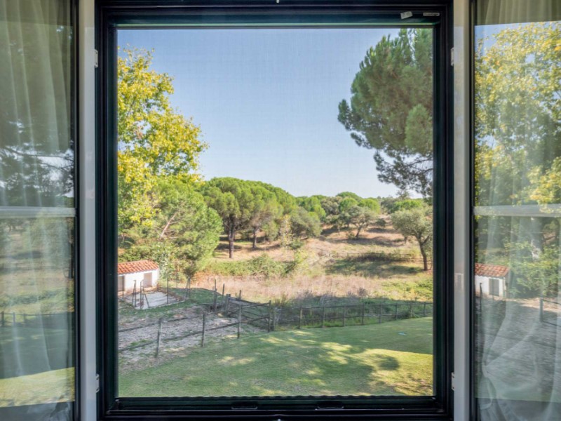 Overig - Benavente -  