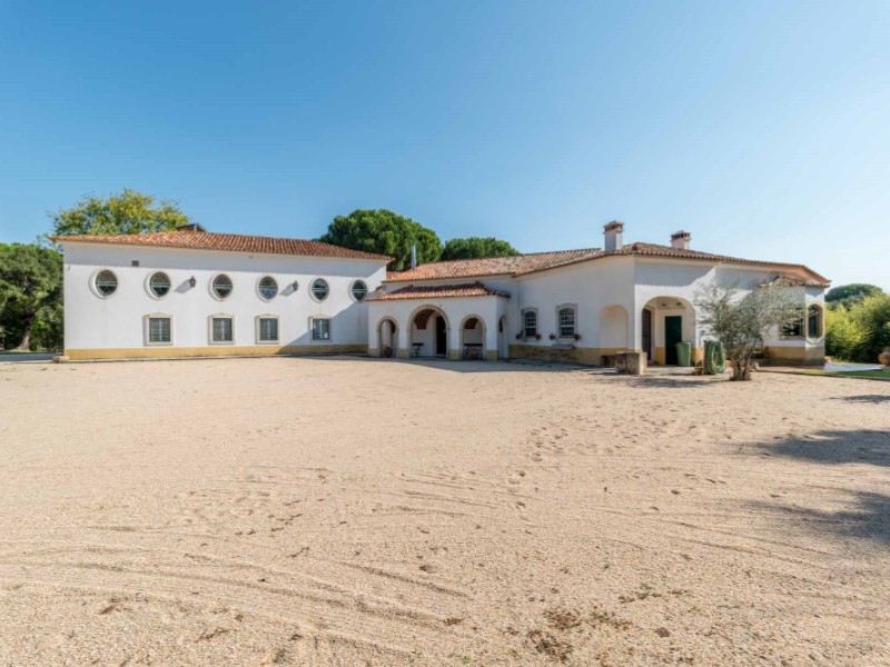 Overig - Benavente -  