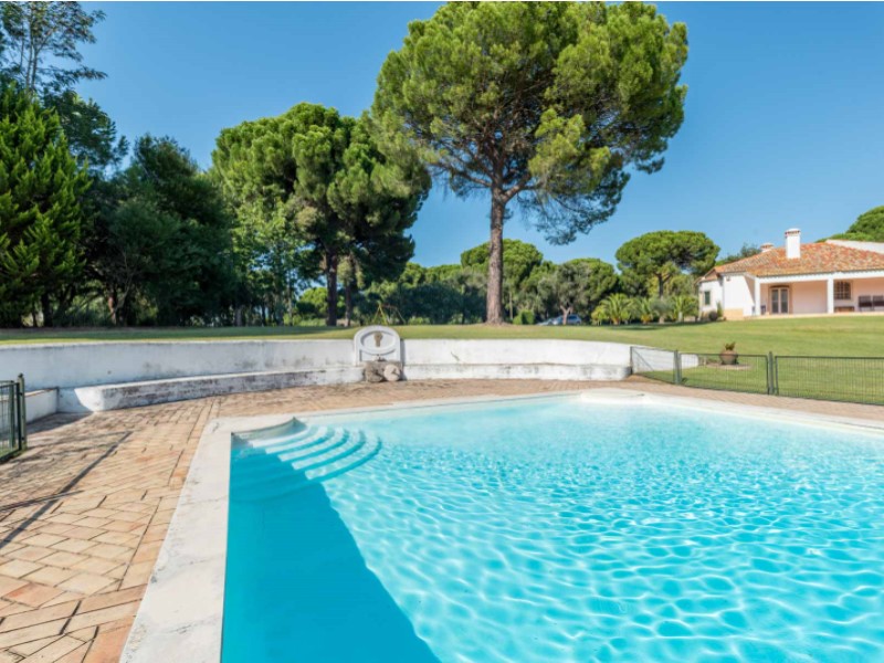 Overig - Benavente -  