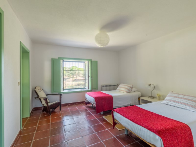 Overig - Benavente -  