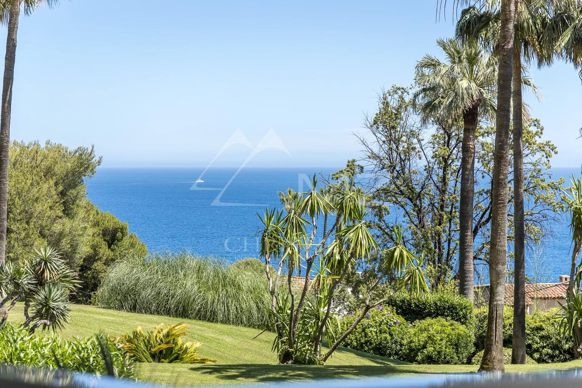 Overig - Cannes -  