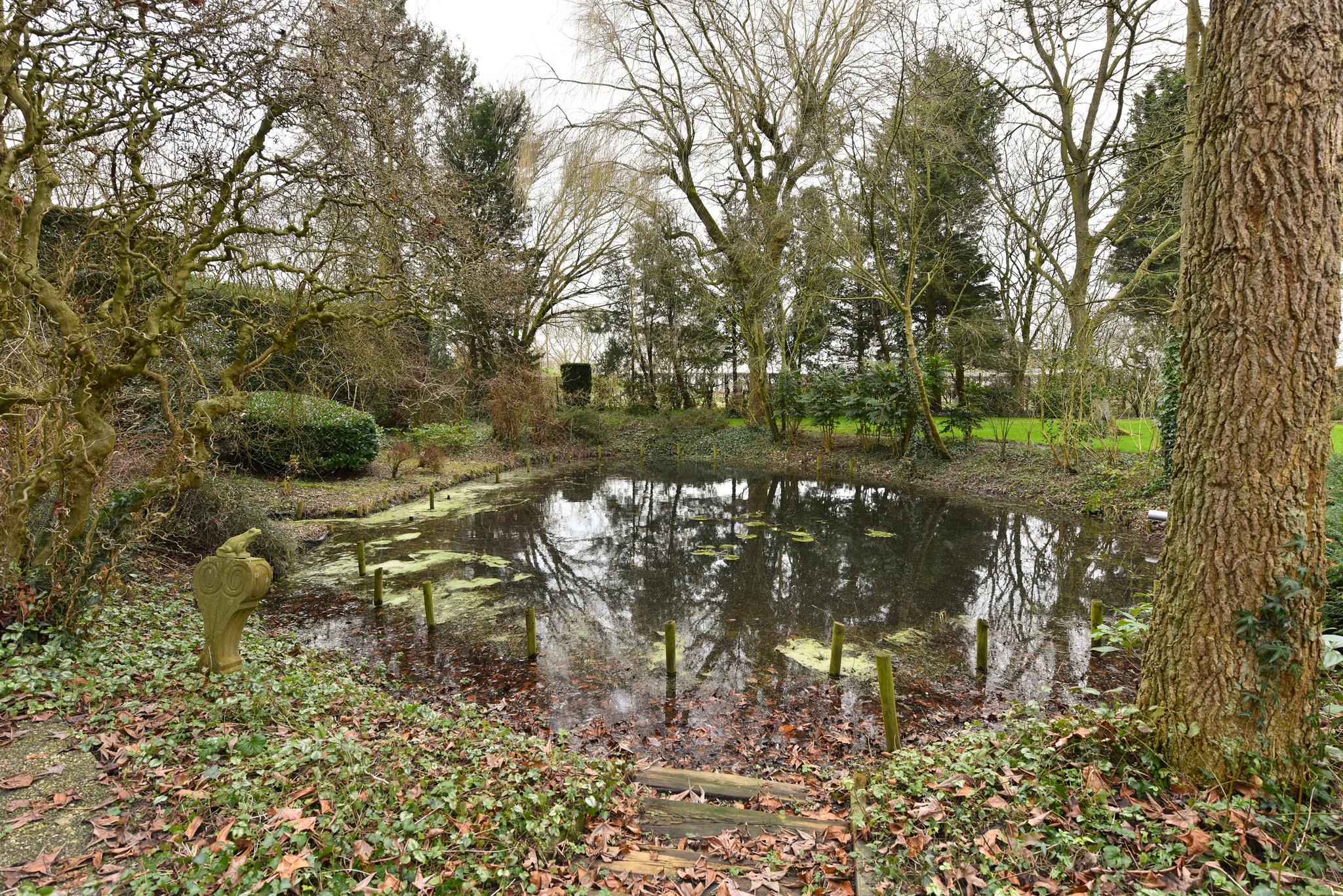 Overig - RUMPT - Dorpsdijk 2