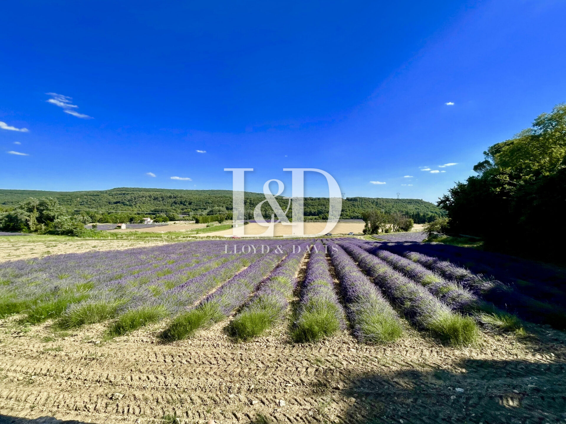 Overig - Granges-gontardes -  