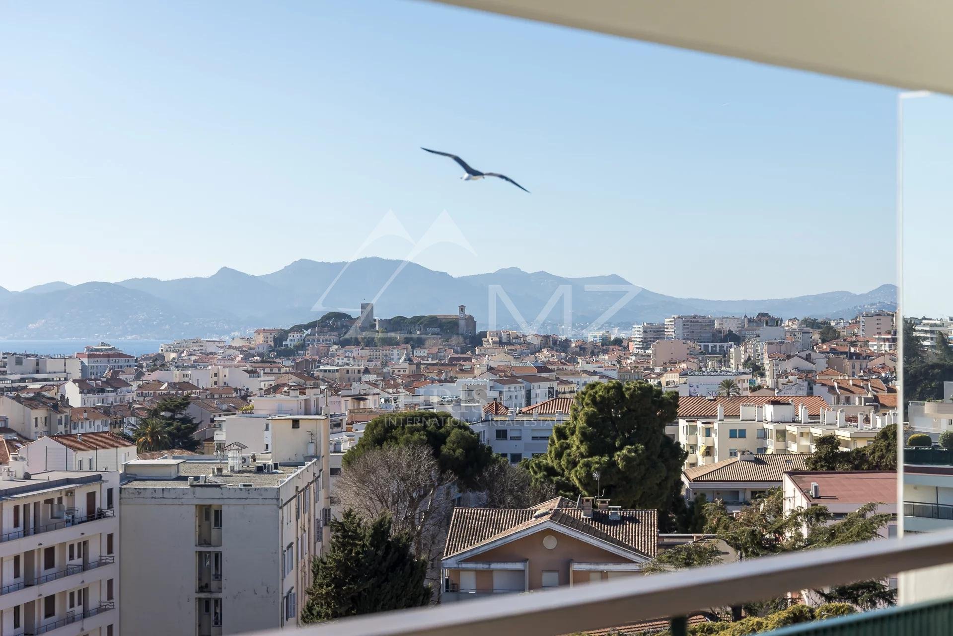 Overig - Cannes -  
