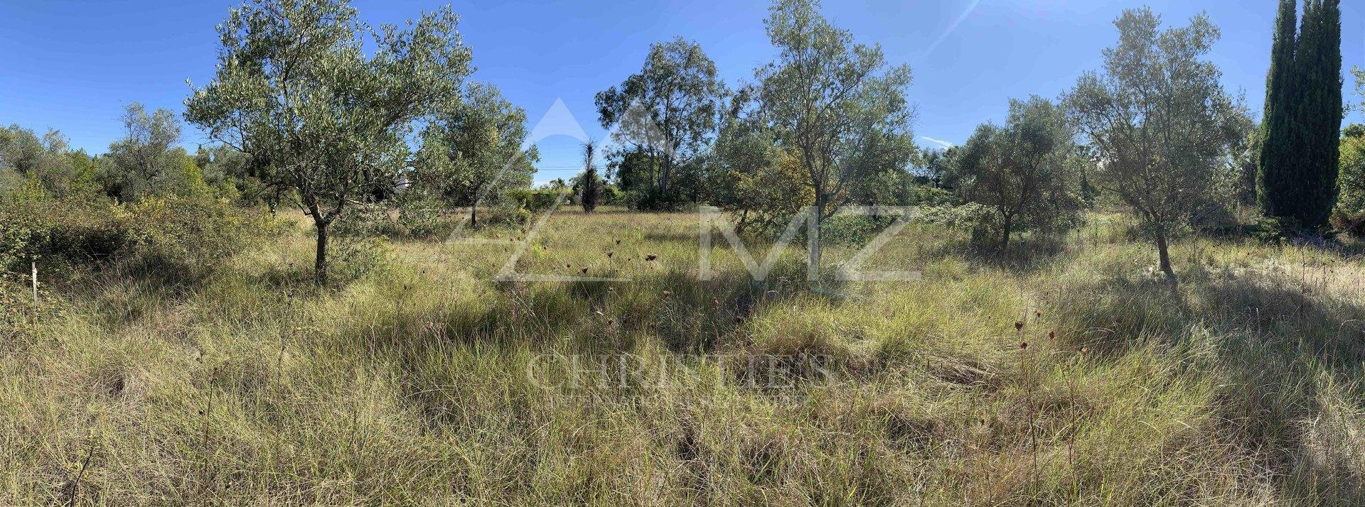 Overig - Mouans-sartoux -  