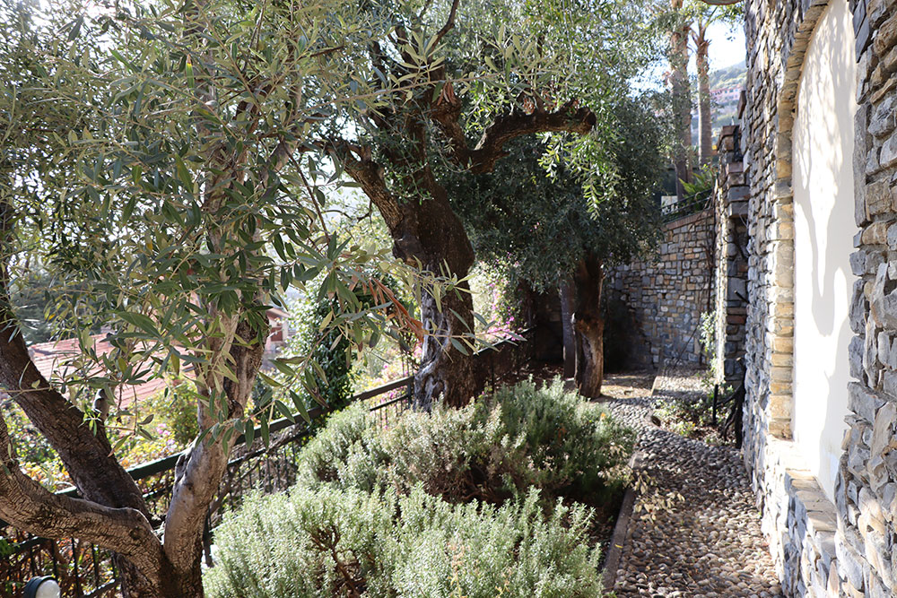 Overig - Ospedaletti -  