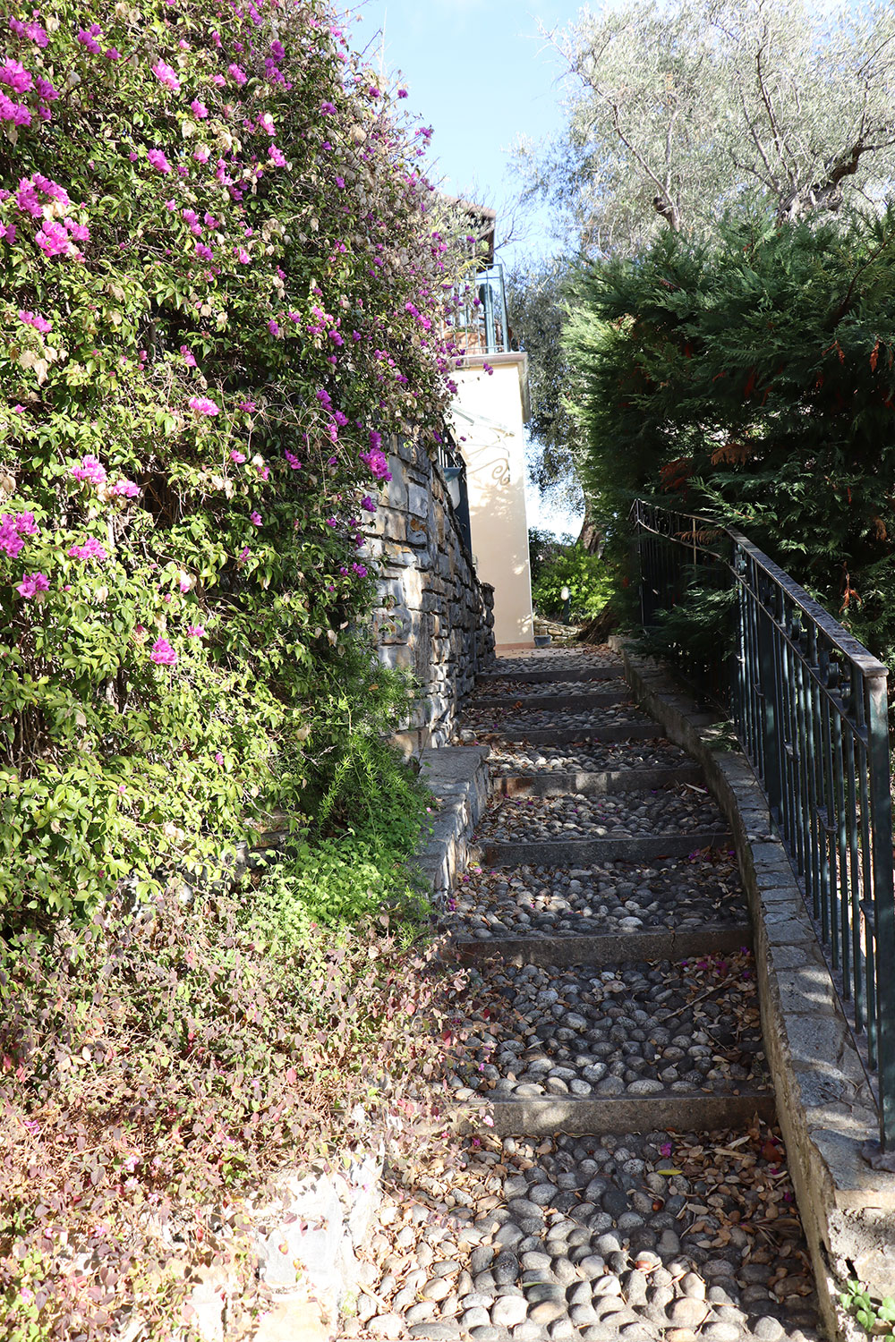 Overig - Ospedaletti -  