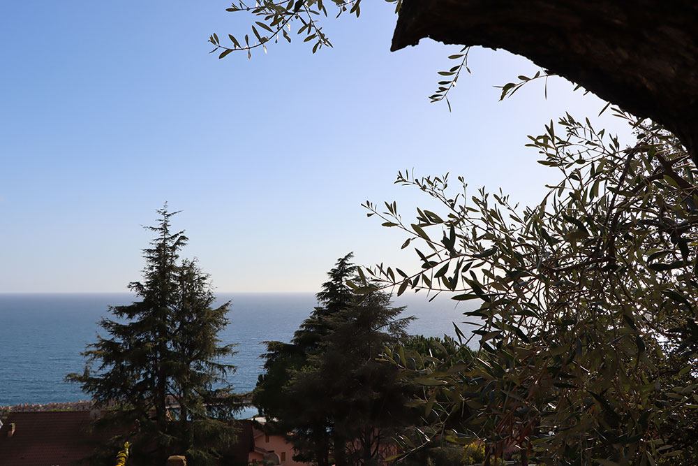 Overig - Ospedaletti -  
