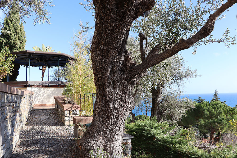 Overig - Ospedaletti -  