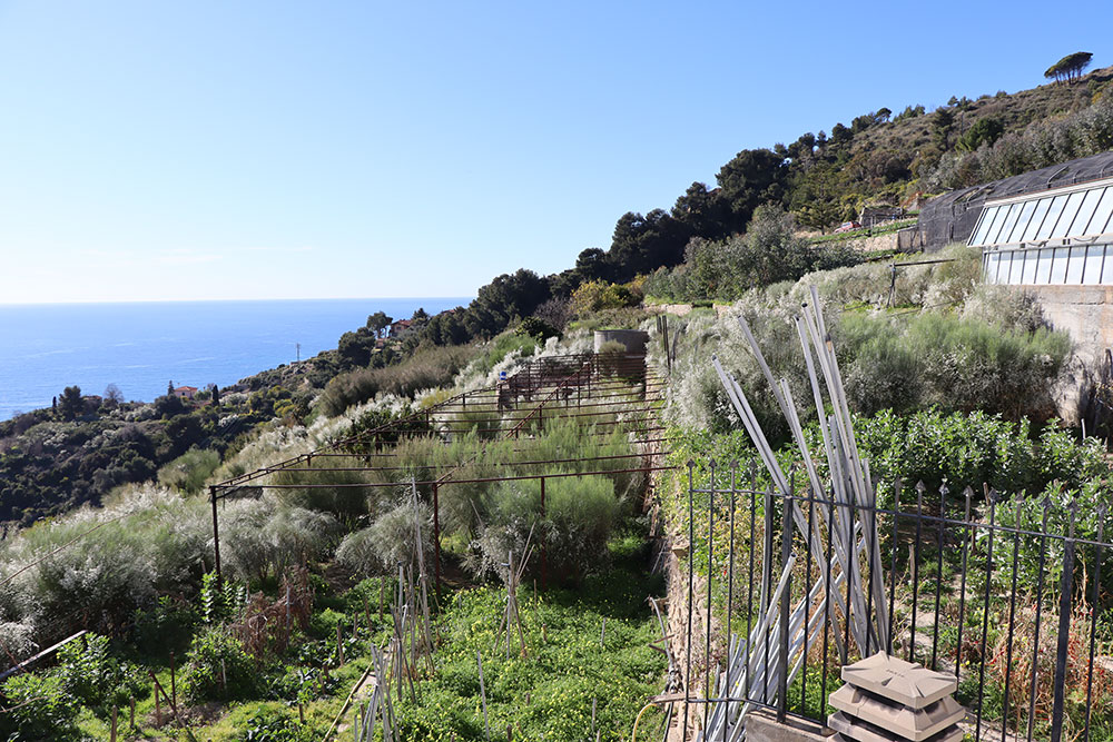 Overig - Bordighera -  