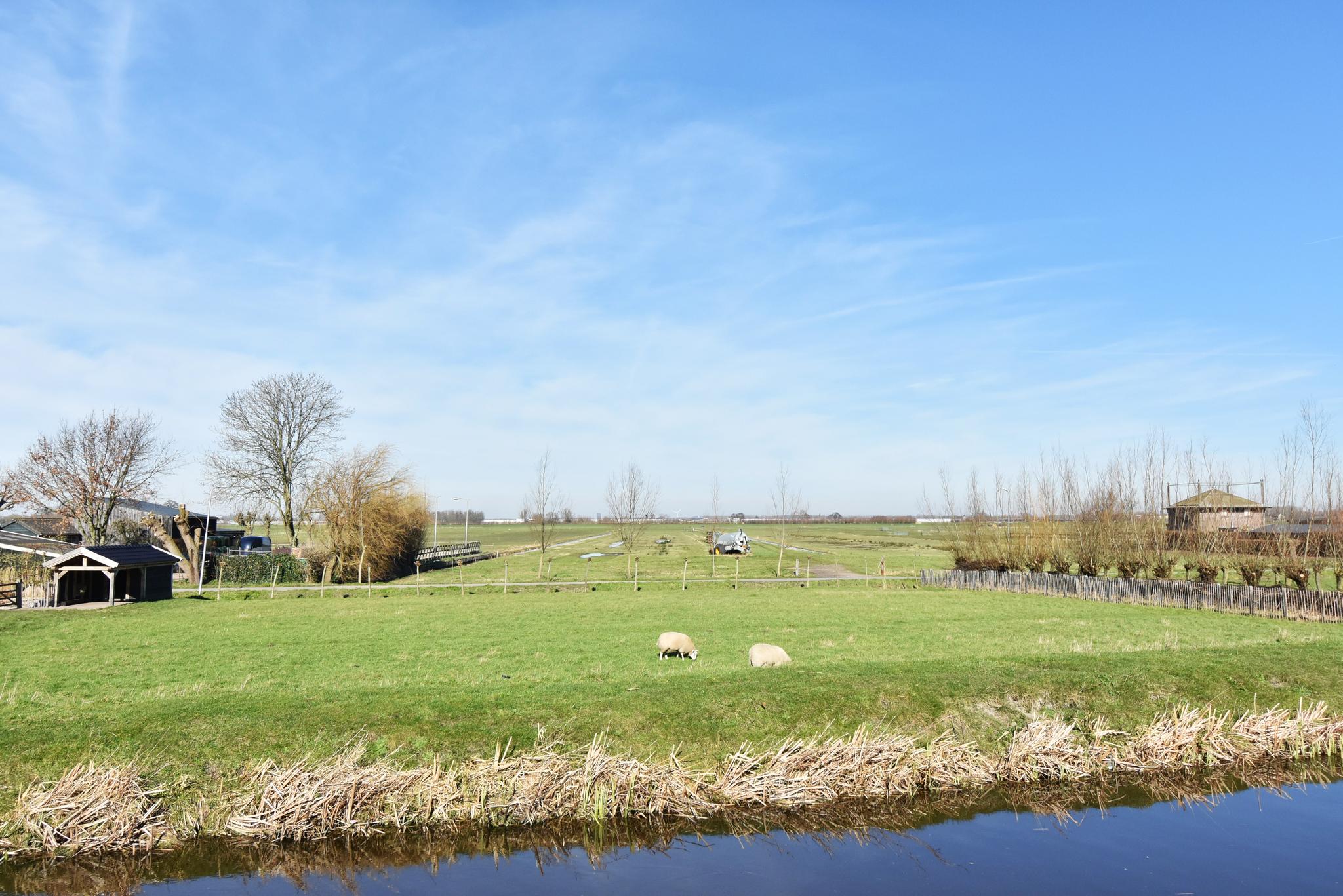 Overig - PIJNACKER - Wilgenweg 9