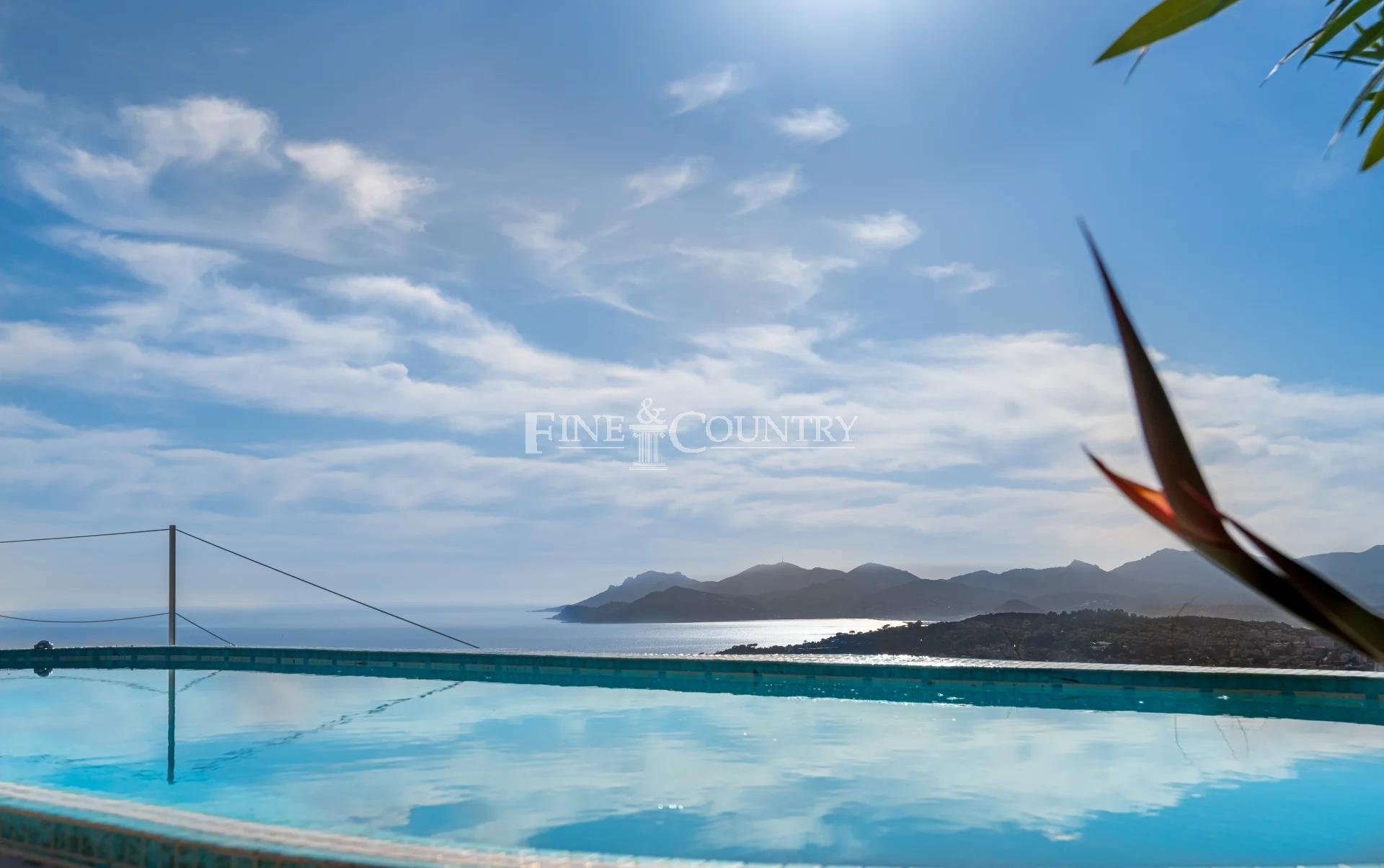 Overig - Cannes -  