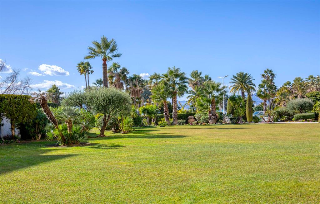 Overig - Cannes -  