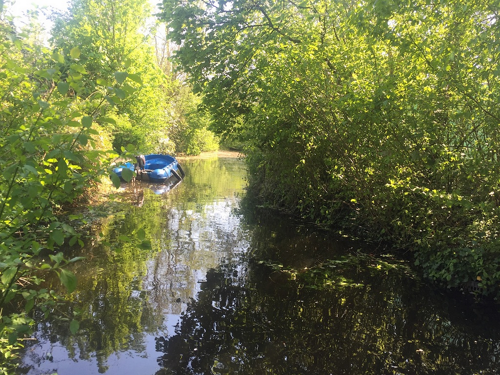 Overig - OEGSTGEEST - van Cuycklaan 18
