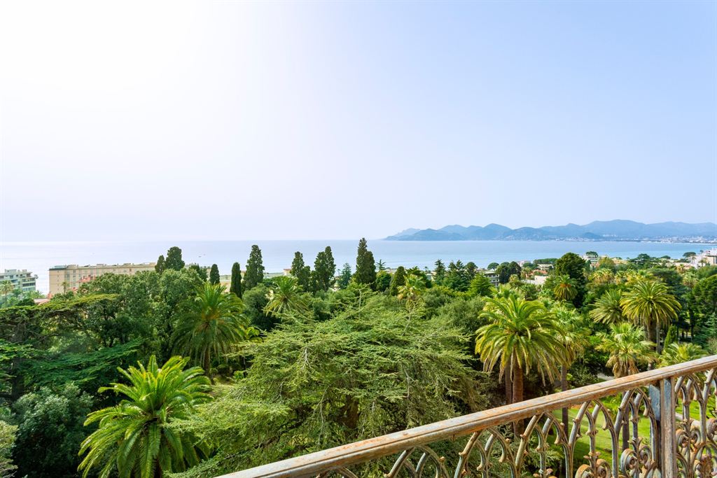 Overig - Cannes -  