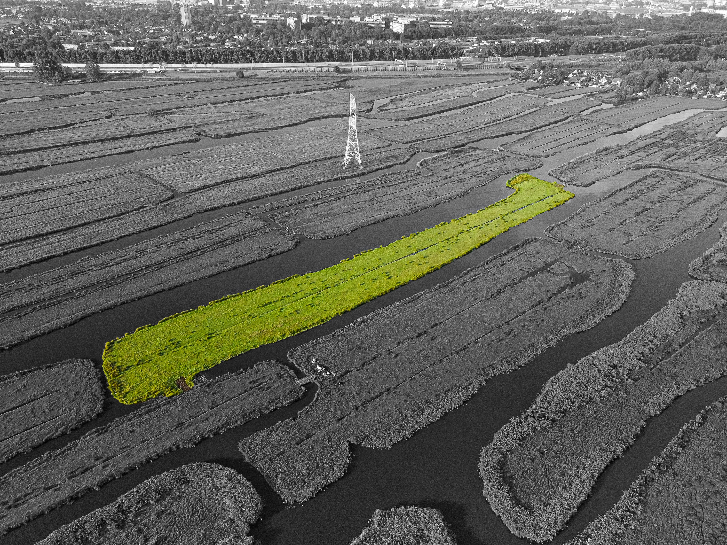 Perceel - Oostzaan - 