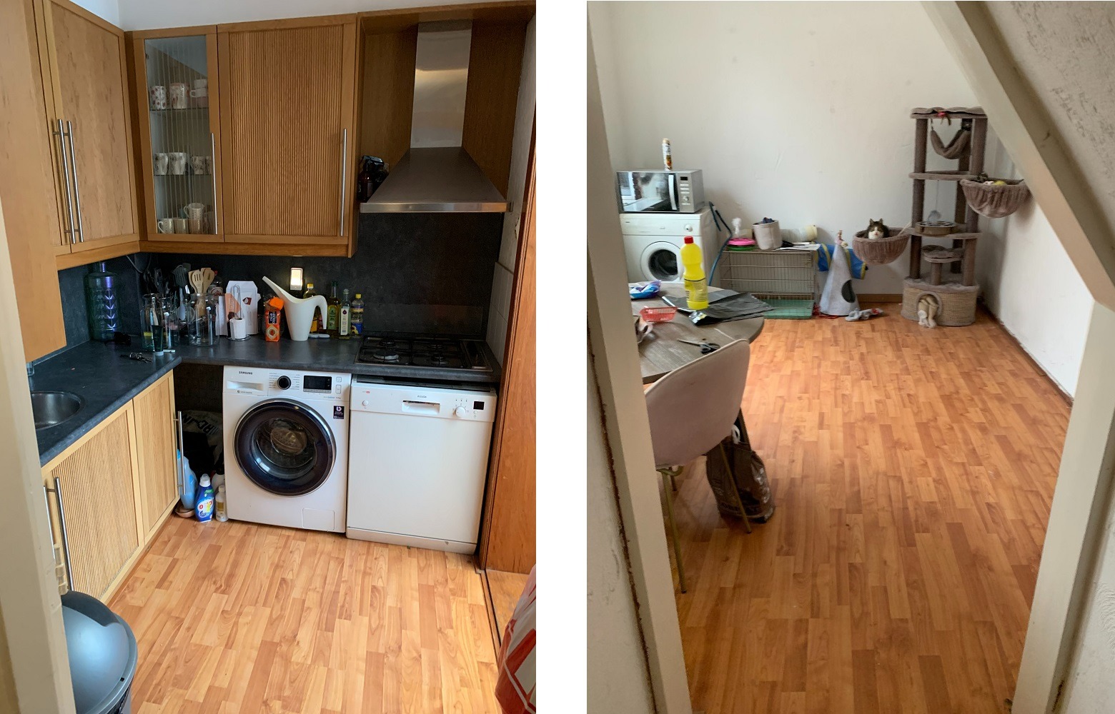 Woning / winkelpand - Leiden - Levendaal 118
